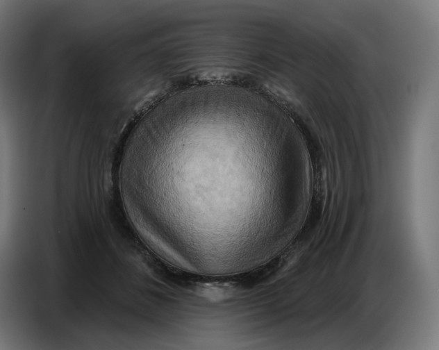 X0000086750508200705041430