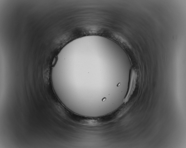 X0000086750509200705041430