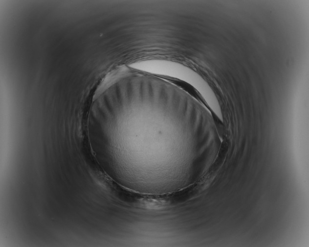 X0000086750512200705041430