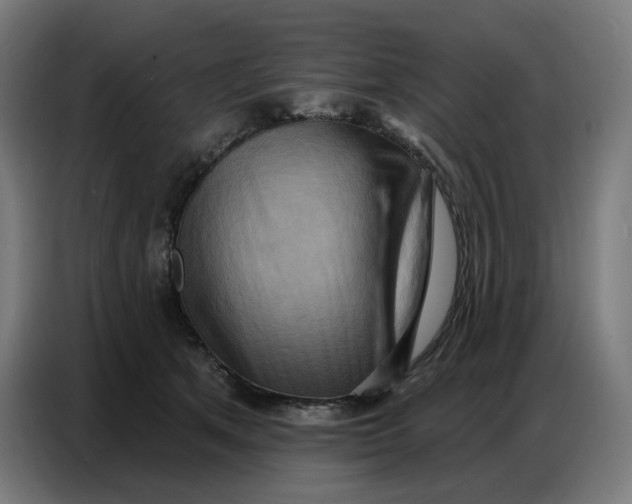 X0000086750513200705041430