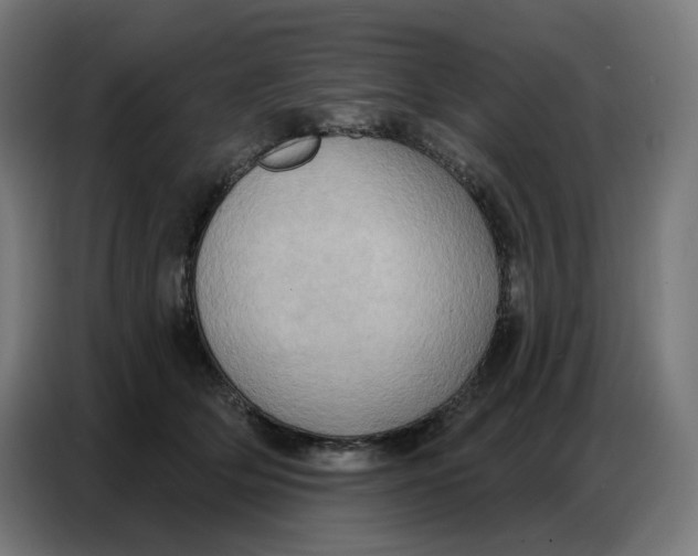 X0000086750514200705041430