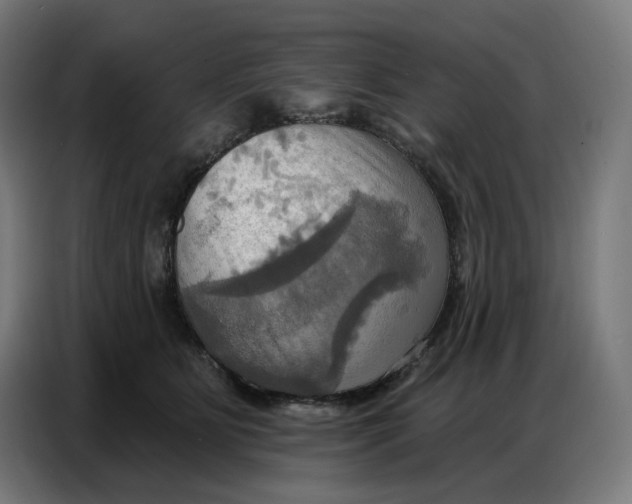 X0000086750515200705041430