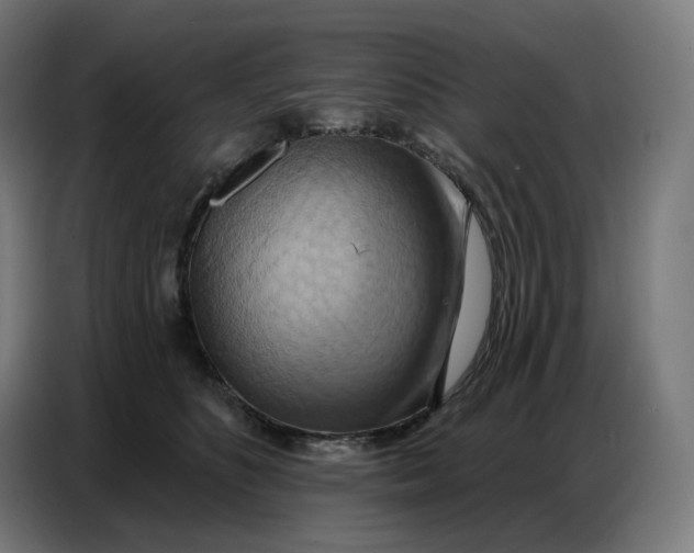 X0000086750516200705041430