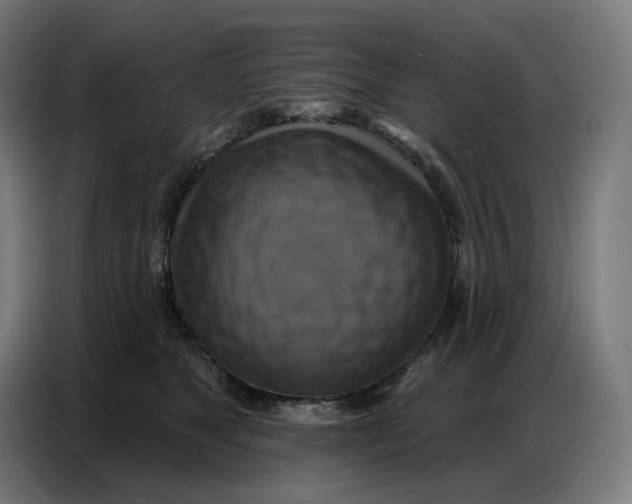 X0000086750517200705041430