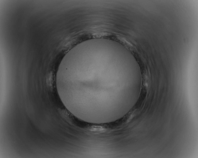 X0000086750519200705041430