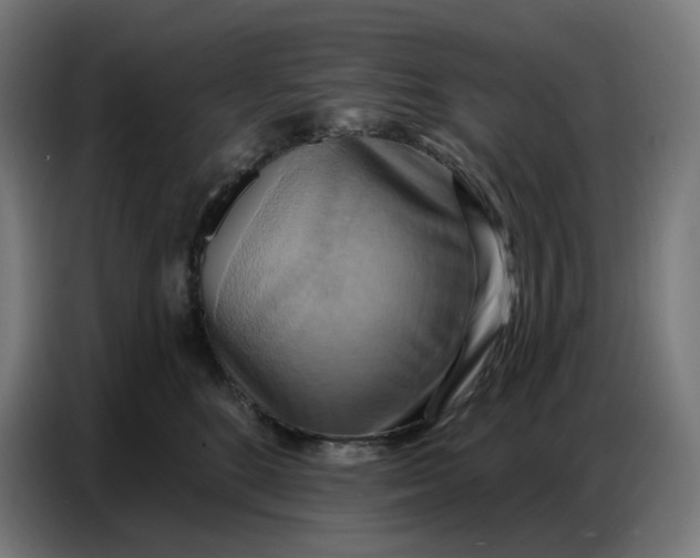 X0000086750520200705041430