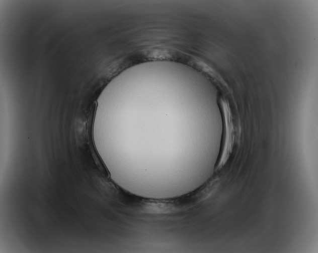 X0000086750521200705041430