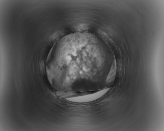 X0000086750523200705041430