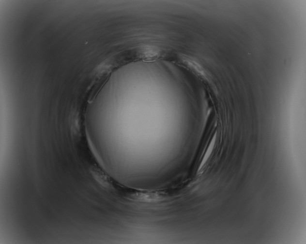 X0000086750524200705041430