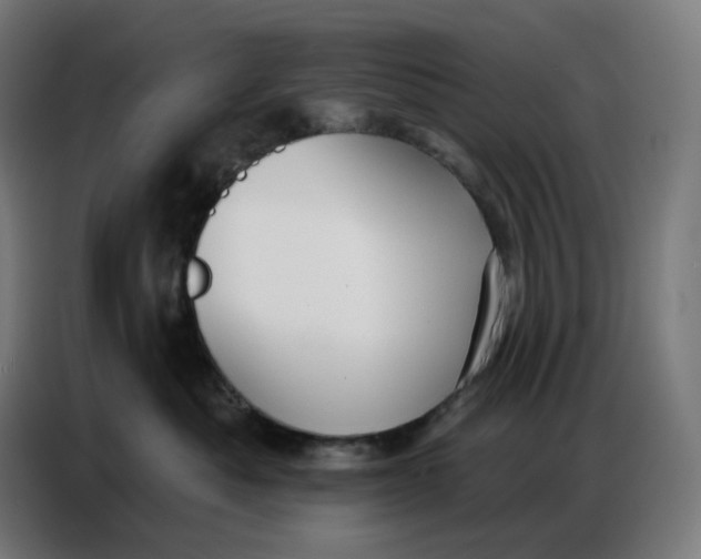 X0000086750525200705041430