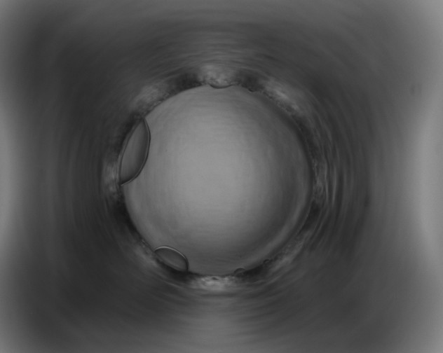 X0000086750526200705041430