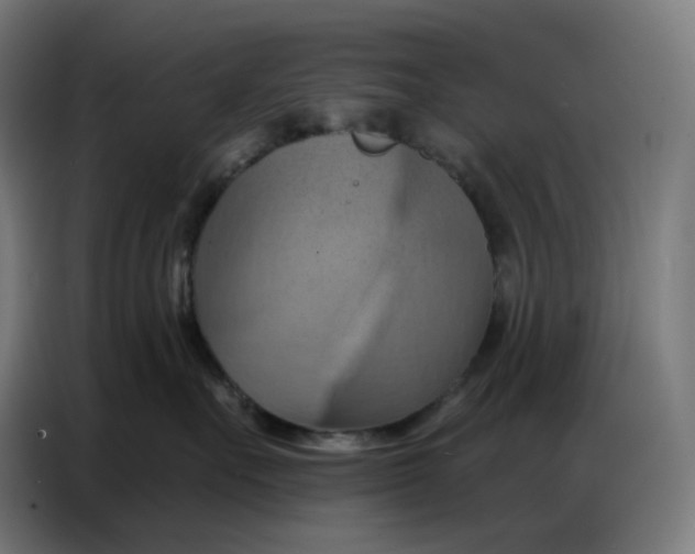 X0000086750527200705041430