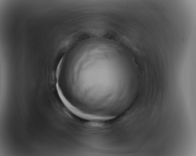 X0000086750528200705041430