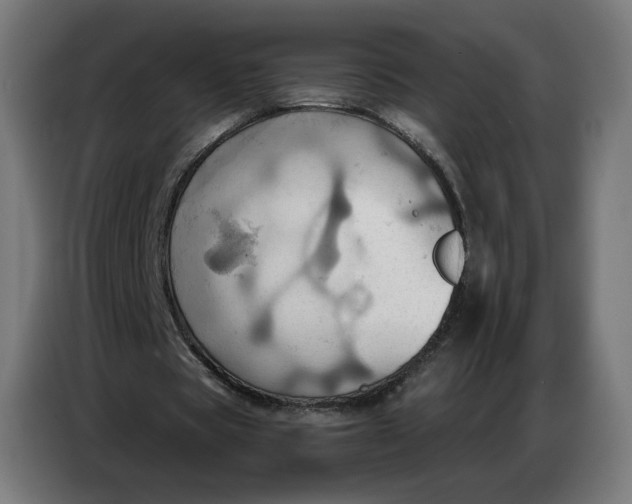 X0000086750529200705041429