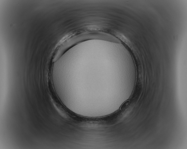 X0000086750530200705041429