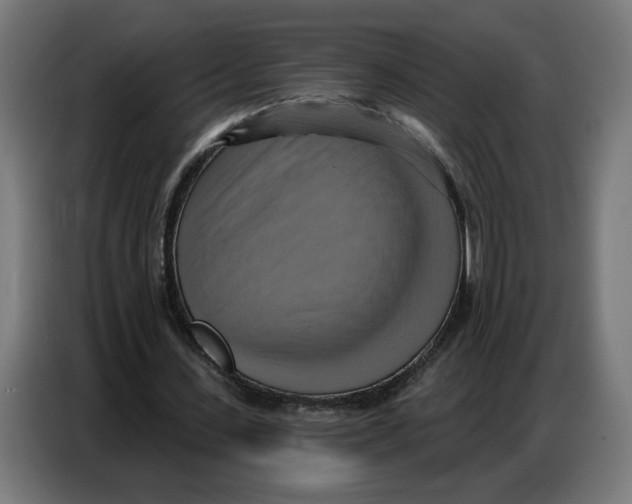 X0000086750531200705041429