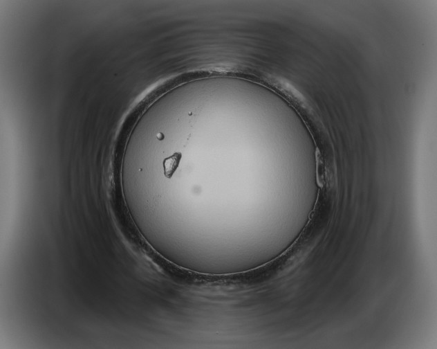 X0000086750532200705041429