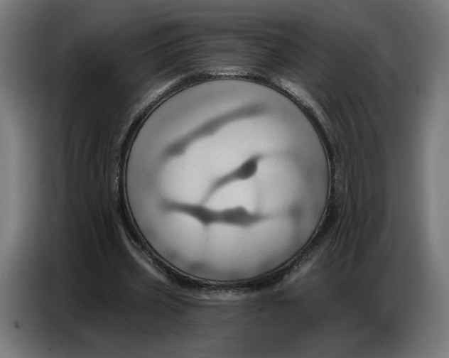 X0000086750533200705041429