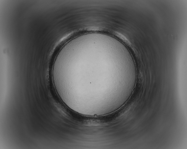 X0000086750535200705041429