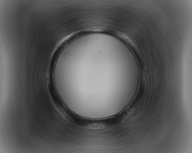 X0000086750536200705041429