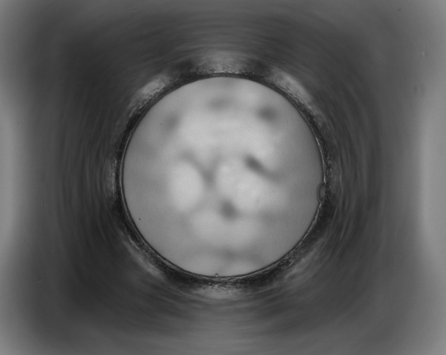 X0000086750537200705041429