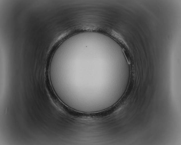 X0000086750538200705041429