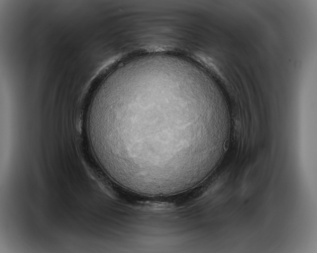 X0000086750539200705041429