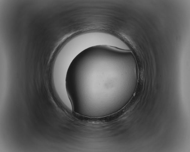 X0000086750540200705041429