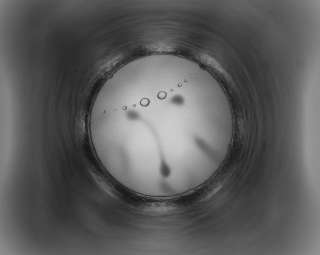 X0000086750541200705041429