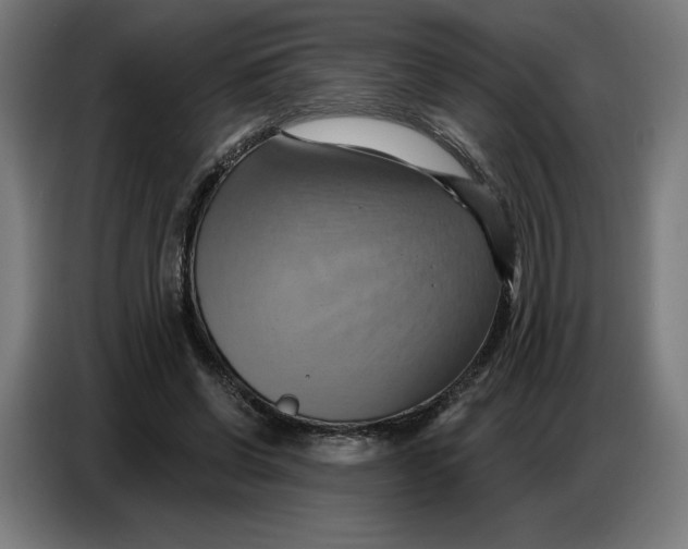 X0000086750542200705041429