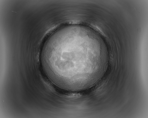 X0000086750543200705041429