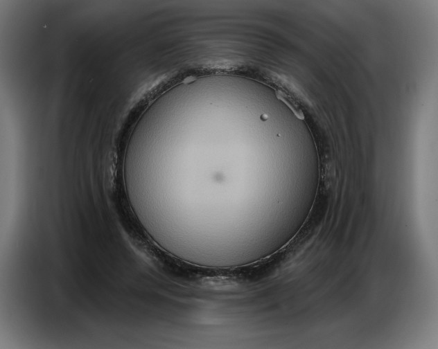 X0000086750544200705041429