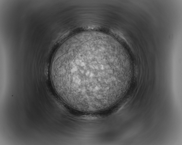 X0000086750545200705041429