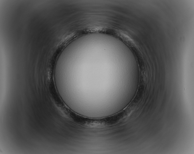 X0000086750546200705041429