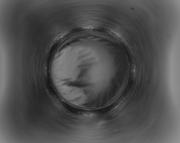 X0000086750547200705041429