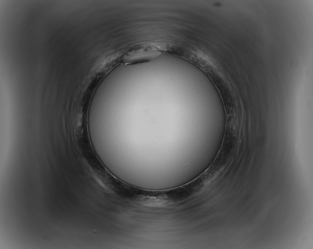 X0000086750548200705041429