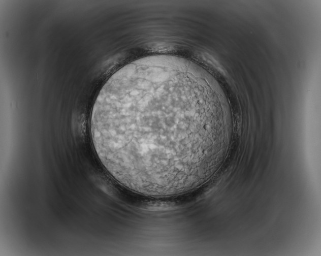 X0000086750549200705041429