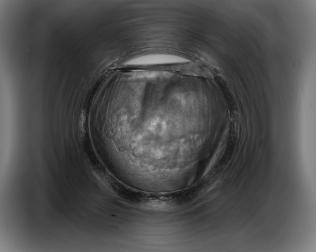 X0000086750550200705041429