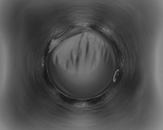 X0000086750551200705041429