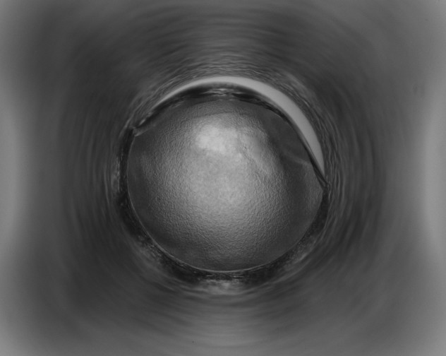 X0000086750552200705041429