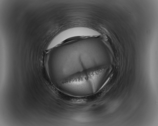 X0000086750553200705041429