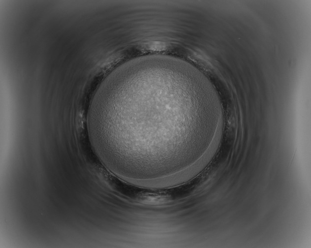 X0000086750555200705041429