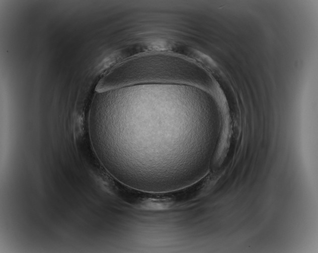 X0000086750556200705041429