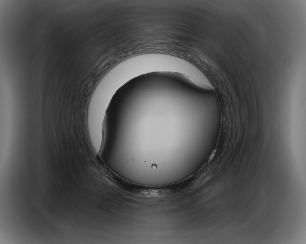 X0000086750558200705041429