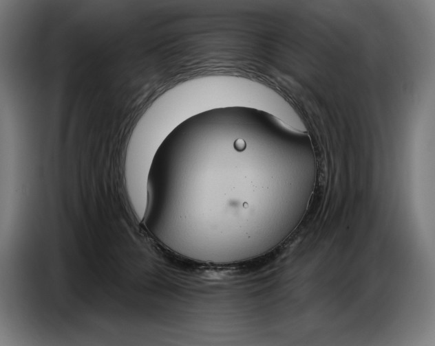 X0000086750560200705041429