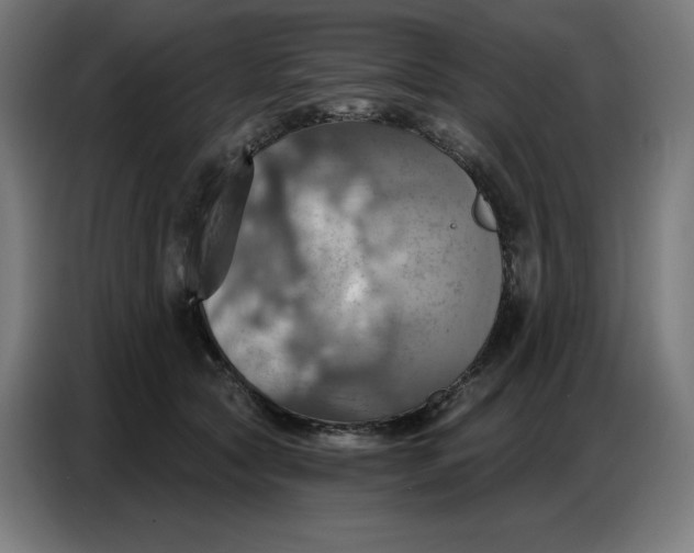 X0000086750561200705041429