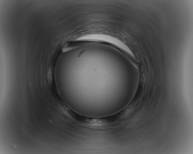 X0000086750562200705041429