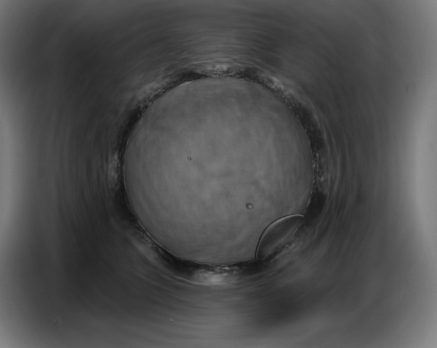 X0000086750563200705041430