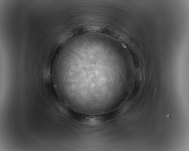 X0000086750564200705041430