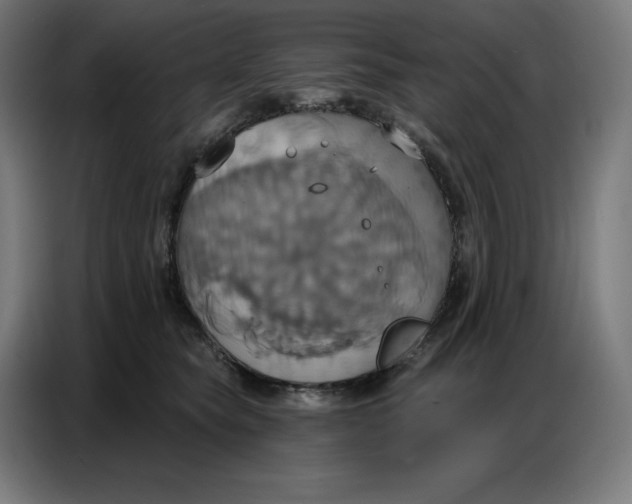 X0000086750565200705041430